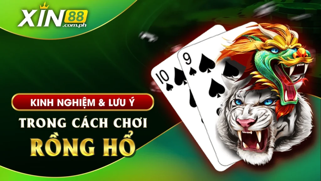 Kinh nghiệm và lưu ý trong cách chơi rồng hổ