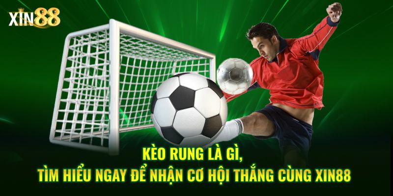 Kèo rung là gì? - Cách nhận diện và bắt kèo chuẩn tại Xin88 1 kèo rung là gì 1