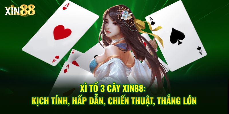 Xì tố 3 cây Tại Xin88 – Game bài tốc độ, chiến thuật rõ ràng 1 xì tố 3 cây 1
