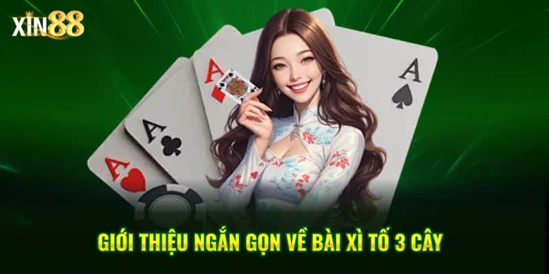 Xì tố 3 cây Tại Xin88 – Game bài tốc độ, chiến thuật rõ ràng 2 xì tố 3 cây 2